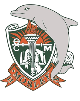 Official seal for Bay District Schools